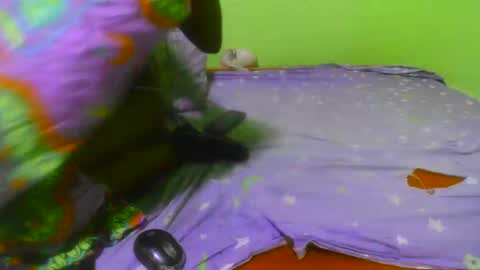 millarn online show from September 2025 10:36:01 AM