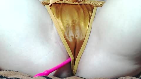 Kitten online show from May 2026 12:04:02 PM