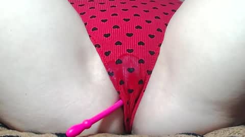 Kitten online show from May 2026 08:23:02 AM