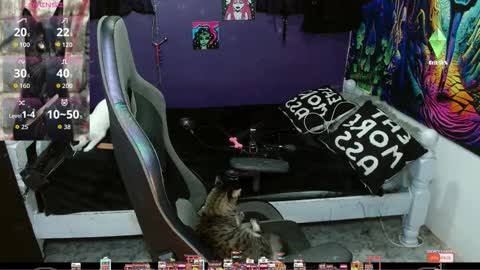 elizabeth grey online show from September 2025 11:28:02 PM