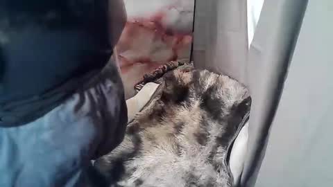 Snapshot of sweet_ruby1994 chatting on November 2025 02:55:02 AM RUBY online show from November 2025 02:55:02 AM