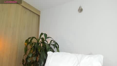 Camila online show from January 2025 11:35:02 PM