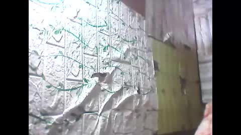 sweetava08 online show from May 2026 12:27:01 AM