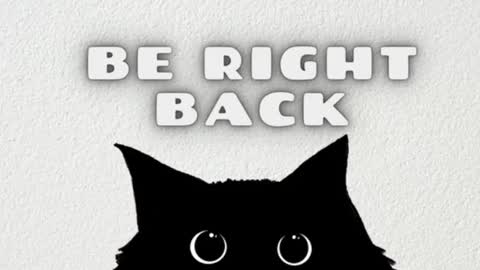       Independent model online show from January 2025 03:37:02 AM