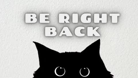       Independent model online show from February 2025 04:40:02 AM