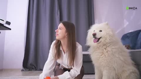 Snapshot of sweetdreamvic chatting on February 2025 02:55:02 PM Vicktorious online show from February 2025 02:55:02 PM