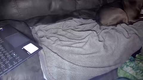 Snapshot of sweetgesus chatting on January 2025 03:53:02 AM sweetgesus online show from January 2025 03:53:02 AM