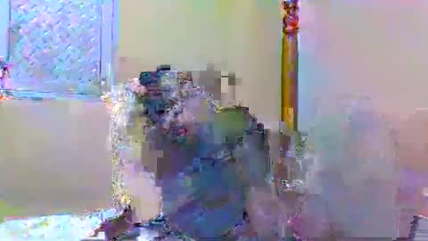 sweetib1 online show from January 2025 05:05:02 PM