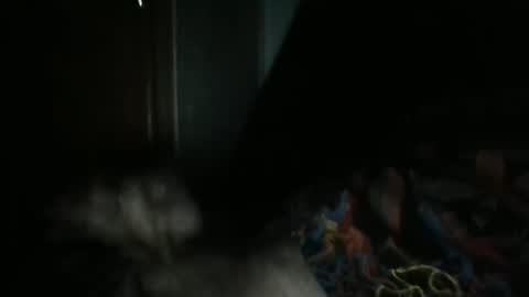 Snapshot of sweetpussylicks chatting on February 2025 07:29:01 AM sweetpussylicks online show from February 2025 07:29:01 AM