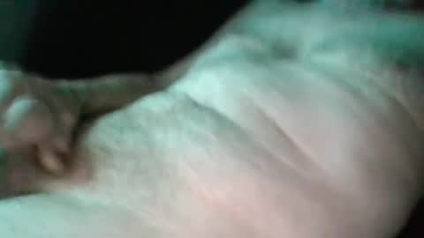 Snapshot of sweetpussylicks chatting on February 2025 03:04:01 AM sweetpussylicks online show from February 2025 03:04:01 AM