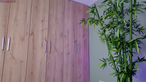    online show from January 2025 04:48:01 PM