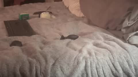 Snapshot of sxymn123 chatting on September 2025 09:30:01 AM SissyDenver online show from September 2025 09:30:01 AM