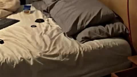 Snapshot of sxymn123 chatting on November 2025 08:25:02 AM SissyDenver online show from November 2025 08:25:02 AM