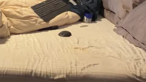 Snapshot of sxymn123 chatting on December 2025 11:05:01 AM SissyDenver online show from December 2025 11:05:01 AM