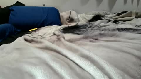 Snapshot of sybadog chatting on February 2026 11:50:01 AM sybadog online show from February 2026 11:50:01 AM