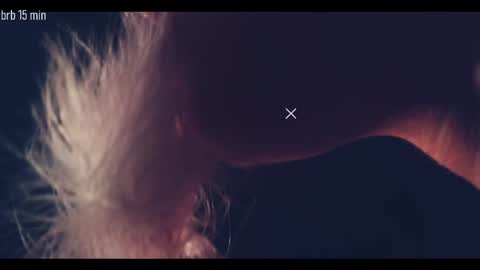 Snapshot of taanni_bc chatting on September 2025 10:34:02 PM TAANNI online show from September 2025 10:34:02 PM