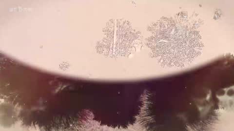 TAANNI online show from February 2026 10:08:02 PM