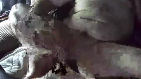 Snapshot of tacozod chatting on January 2025 10:33:02 PM tacozod online show from January 2025 10:33:02 PM