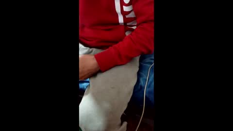 Taitotoito online show from January 2026 02:04:02 AM