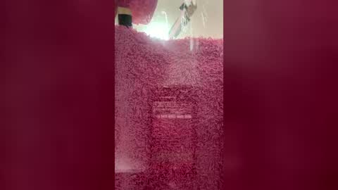 Snapshot of talianavega chatting on June 2026 05:01:02 PM tali online show from June 2026 05:01:02 PM