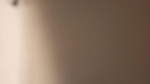 Snapshot of tall6feet7inch chatting on December 2024 12:29:01 AM tall6feet7inch online show from December 2024 12:29:01 AM