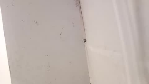 Snapshot of tall6feet7inch chatting on December 2025 07:36:02 AM tall6feet7inch online show from December 2025 07:36:02 AM