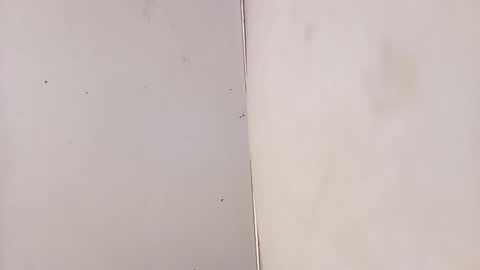 Snapshot of tall6feet7inch chatting on February 2026 07:13:01 AM tall6feet7inch online show from February 2026 07:13:01 AM