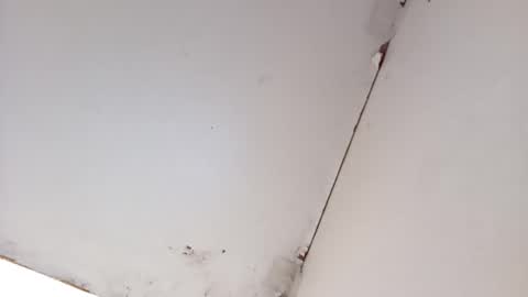 Snapshot of tall6feet7inch chatting on March 2026 08:40:01 AM tall6feet7inch online show from March 2026 08:40:01 AM