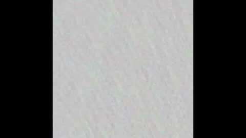 Snapshot of tallgirl_ chatting on February 2025 03:25:02 AM tallgirl_ online show from February 2025 03:25:02 AM