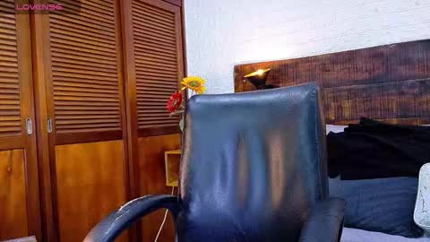    online show from November 2025 10:27:01 AM