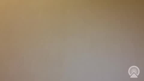 tanelure online show from September 2025 05:49:01 PM