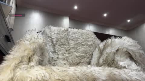 Tank Guy online show from March 2026 09:26:01 PM