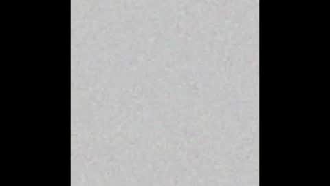 Taste online show from February 2025 10:15:02 AM