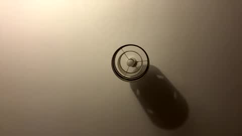 tastytexas24 online show from April 2026 11:02:01 PM