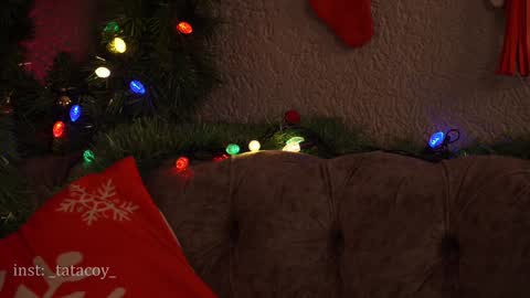 TataCoy online show from January 2025 01:03:01 PM