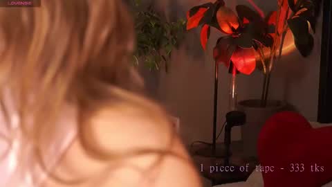 TataCoy online show from September 2025 11:03:01 AM