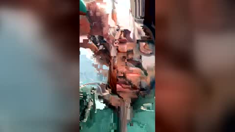 tathan0496 online show from May 2026 04:56:02 PM