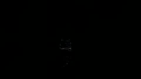 Snapshot of tatiana_vegha chatting on June 2026 10:56:02 AM i am tatiana online show from June 2026 10:56:02 AM