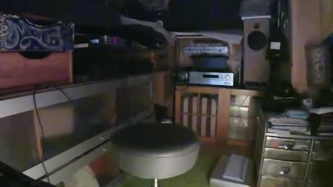 Snapshot of tattoogun chatting on December 2024 03:47:02 AM TattooLust online show from December 2024 03:47:02 AM