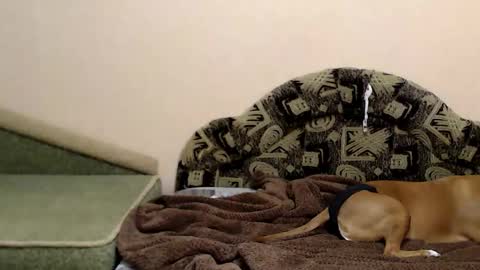 Snapshot of tayagirl chatting on December 2025 07:30:02 PM Taya online show from December 2025 07:30:02 PM