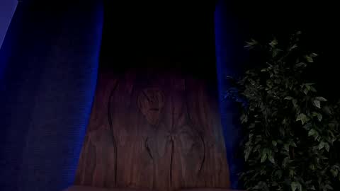 Snapshot of taylor_jonnees chatting on December 2024 02:24:02 PM Taylor Help me to get 100 thumbs up online show from December 2024 02:24:02 PM