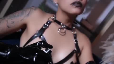 Snapshot of taylorharp chatting on March 2025 07:21:02 PM Taylor online show from March 2025 07:21:02 PM