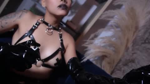 Snapshot of taylorharp chatting on October 2025 04:24:02 PM Taylor online show from October 2025 04:24:02 PM