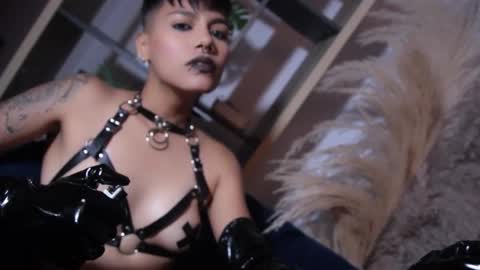 Snapshot of taylorharp chatting on November 2025 10:40:02 AM Taylor online show from November 2025 10:40:02 AM