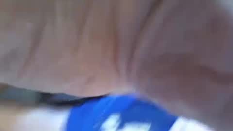 ThrobbingC online show from October 2025 04:19:01 PM