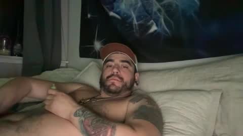 terppapi online show from February 2026 11:32:02 AM