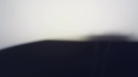 Terra Elowen online show from March 2026 02:42:02 PM