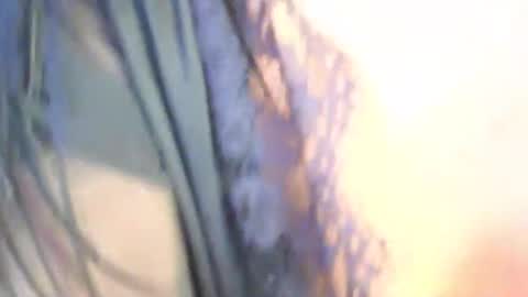 Tessa online show from May 2026 04:04:02 PM