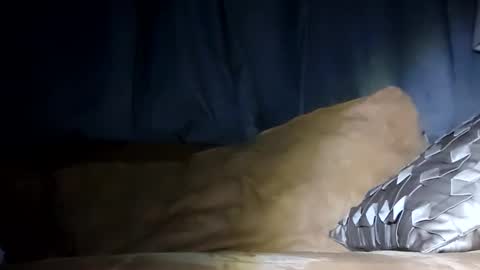 MauiMinded808 online show from January 2025 07:46:02 AM