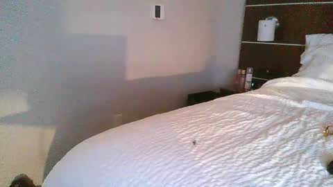 Snapshot of tfoolery34 chatting on February 2026 11:52:01 AM tfoolery34 online show from February 2026 11:52:01 AM